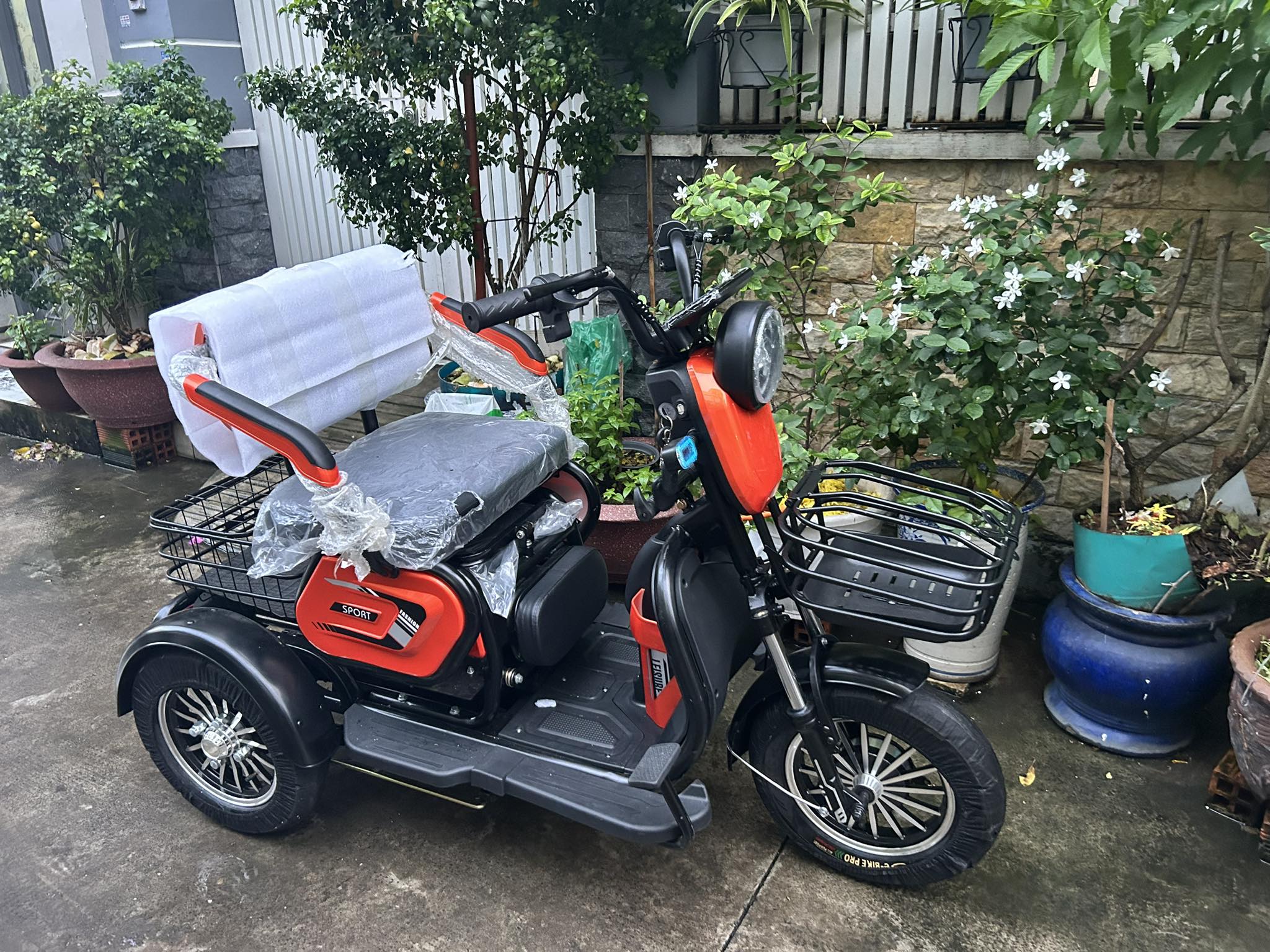 Xe điện 3 bánh 10 in 600W Bao ship - Hình ảnh 3