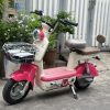xe điện yadea gấu dâu