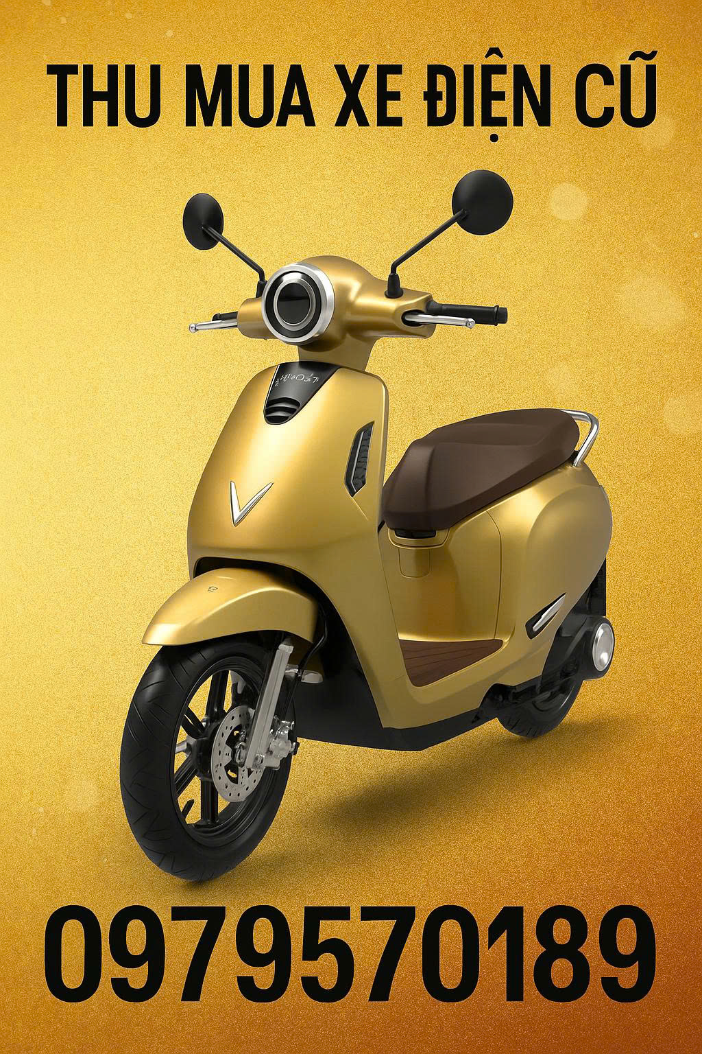 Thu Mua Xe Điện Cũ VinFast Evo 200